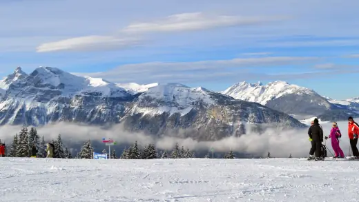 Morillon